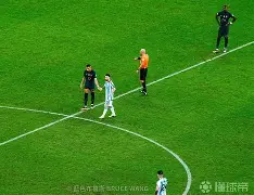 爱游戏-大坂直美混血